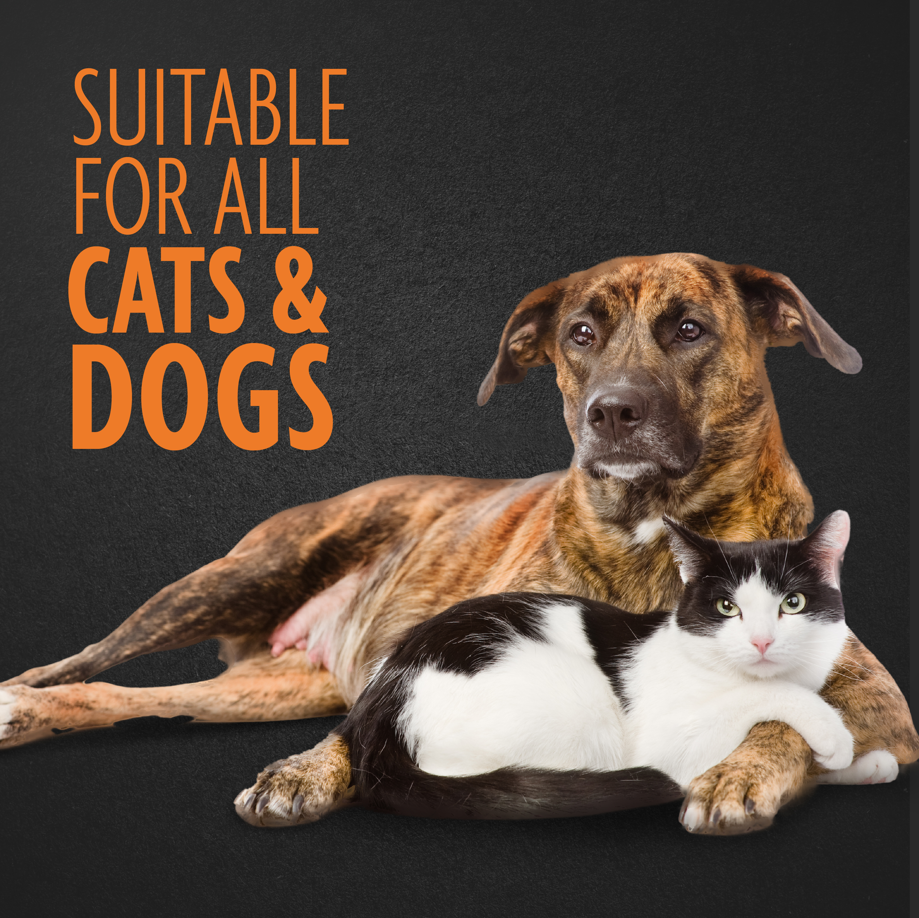 Soft Slicker Brush for Large Pets FURminator